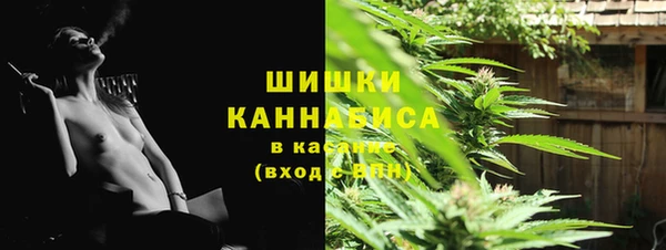 гидра Аркадак