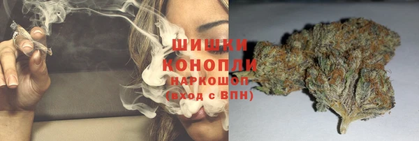 гидра Аркадак