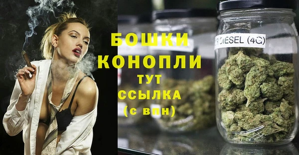 гидра Аркадак