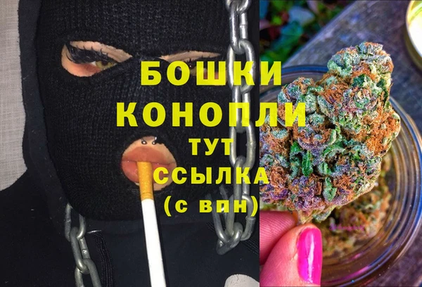 гидра Аркадак