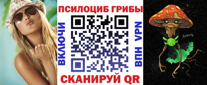 Псилоцибиновые грибы Psilocybe  Купить где  Скопин 
